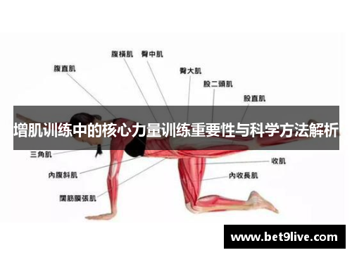 增肌训练中的核心力量训练重要性与科学方法解析