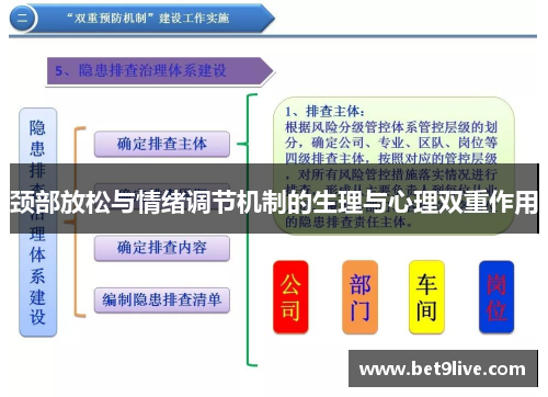 颈部放松与情绪调节机制的生理与心理双重作用